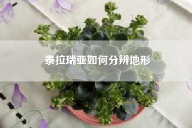 泰拉瑞亚如何分辨地形