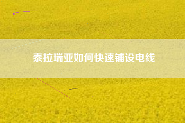 泰拉瑞亚如何快速铺设电线