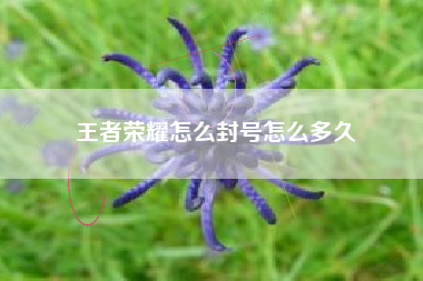 王者荣耀怎么封号怎么多久