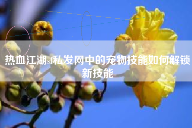 热血江湖sf私发网中的宠物技能如何解锁新技能