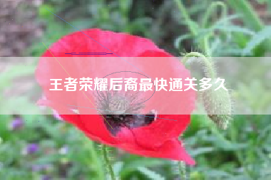 王者荣耀后裔最快通关多久