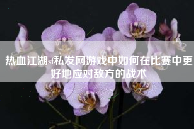 热血江湖sf私发网游戏中如何在比赛中更好地应对敌方的战术