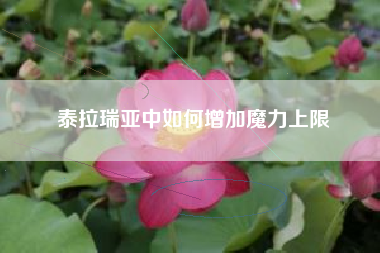 泰拉瑞亚中如何增加魔力上限