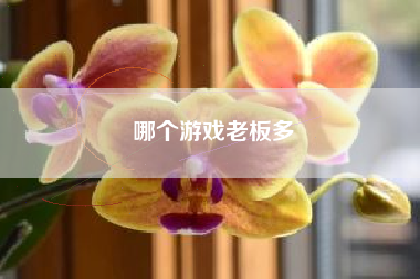 哪个游戏老板多