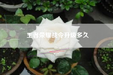 王者荣耀战令升级多久