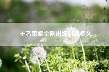 王者荣耀金刚出场时间多久