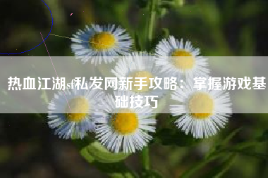 热血江湖sf私发网新手攻略：掌握游戏基础技巧