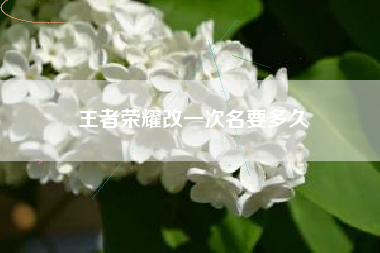 王者荣耀改一次名要多久