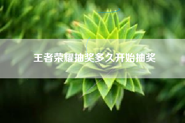 王者荣耀抽奖多久开始抽奖