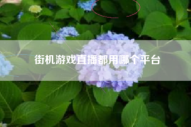 街机游戏直播都用哪个平台