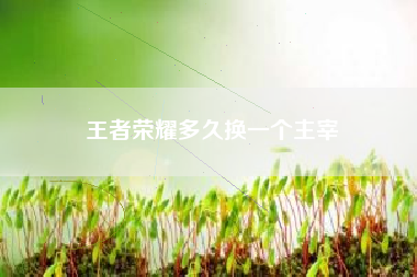 王者荣耀多久换一个主宰