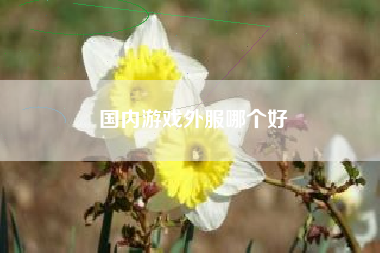 国内游戏外服哪个好