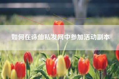 如何在诛仙私发网中参加活动副本