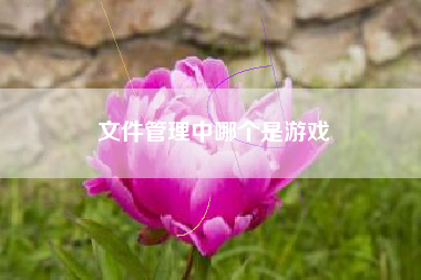 文件管理中哪个是游戏