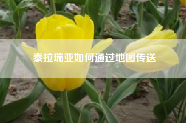 泰拉瑞亚如何通过地图传送