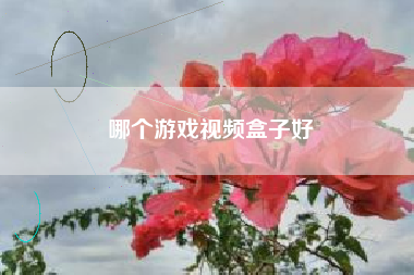 哪个游戏视频盒子好