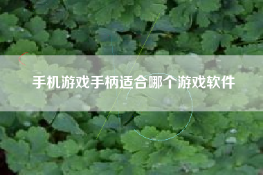 手机游戏手柄适合哪个游戏软件