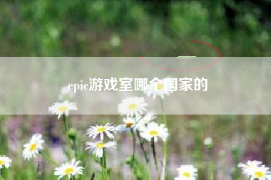 epic游戏室哪个国家的
