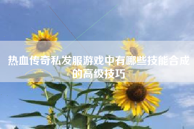 热血传奇私发服游戏中有哪些技能合成的高级技巧