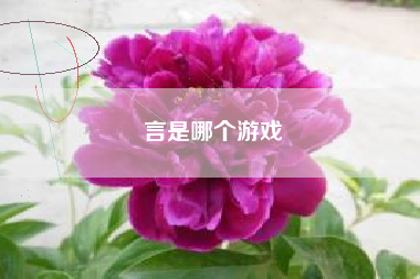 言是哪个游戏