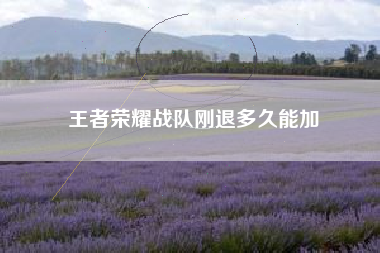 王者荣耀战队刚退多久能加