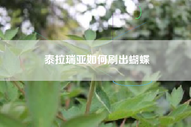 泰拉瑞亚如何刷出蝴蝶
