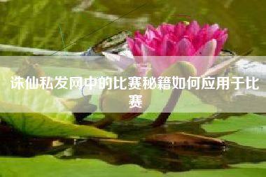 诛仙私发网中的比赛秘籍如何应用于比赛