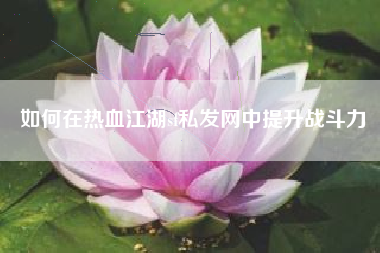 如何在热血江湖sf私发网中提升战斗力