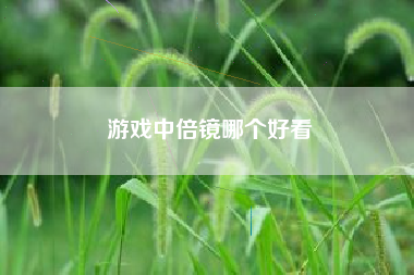 游戏中倍镜哪个好看