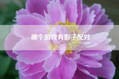 哪个游戏有影子配对