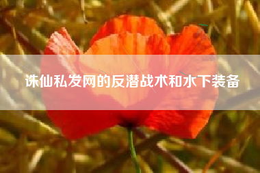 诛仙私发网的反潜战术和水下装备