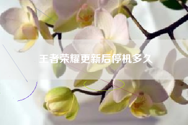 王者荣耀更新后停机多久