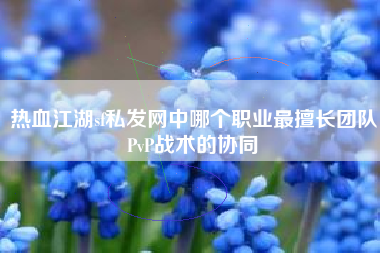 热血江湖sf私发网中哪个职业最擅长团队PvP战术的协同