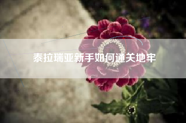 泰拉瑞亚新手如何通关地牢