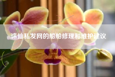 诛仙私发网的船舶修理和维护建议