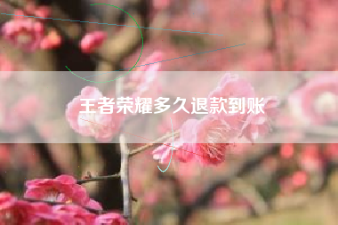 王者荣耀多久退款到账