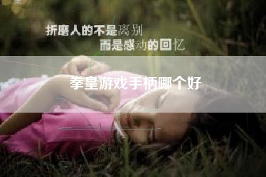 拳皇游戏手柄哪个好