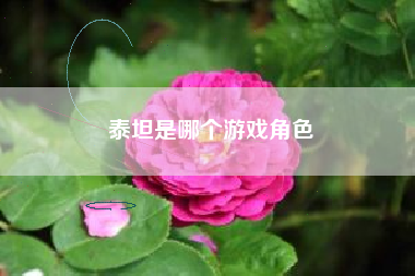 泰坦是哪个游戏角色