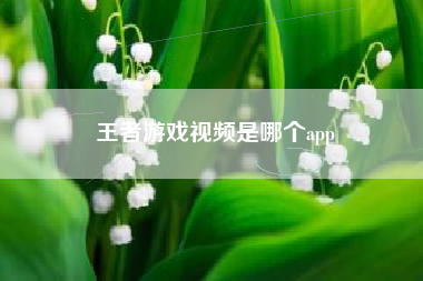 王者游戏视频是哪个app