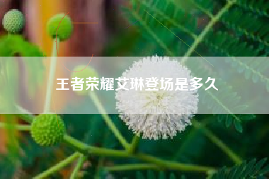 王者荣耀艾琳登场是多久
