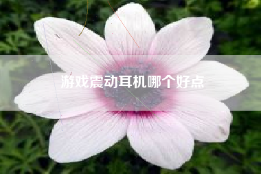游戏震动耳机哪个好点