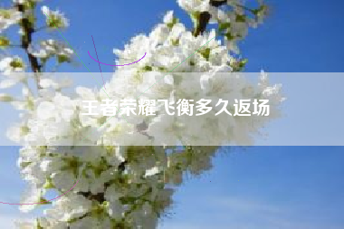 王者荣耀飞衡多久返场