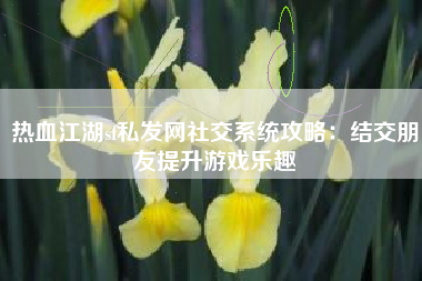 热血江湖sf私发网社交系统攻略：结交朋友提升游戏乐趣