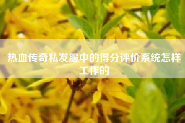 热血传奇私发服中的得分评价系统怎样工作的