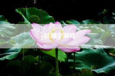 p社哪个游戏