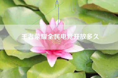 王者荣耀全民电竞开放多久
