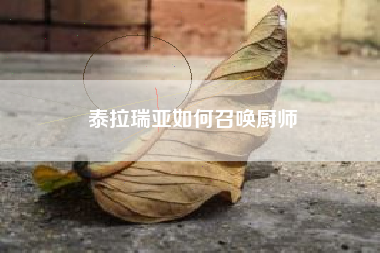 泰拉瑞亚如何召唤厨师