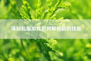 诛仙私服游戏如何解锁新的技能