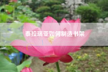 泰拉瑞亚如何制造书架