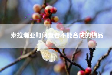 泰拉瑞亚如何查看不能合成的物品